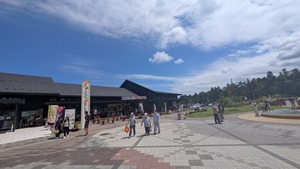 PXL_20250813_024415188