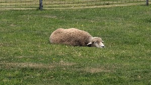 PXL_20250817_000753299