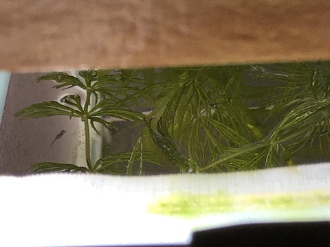 40497FB1-4189-41CA-B754-2AFCBC8F1FB0