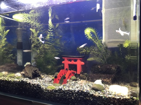 836B50AC-5635-4FCB-8460-416501E75C68