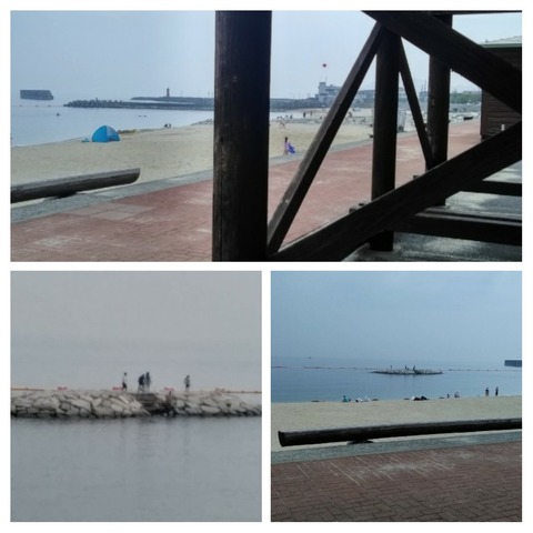 海