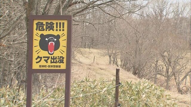 【北海道】犬の散歩中の女性、ヒグマに襲われ重傷　犬は無事だという