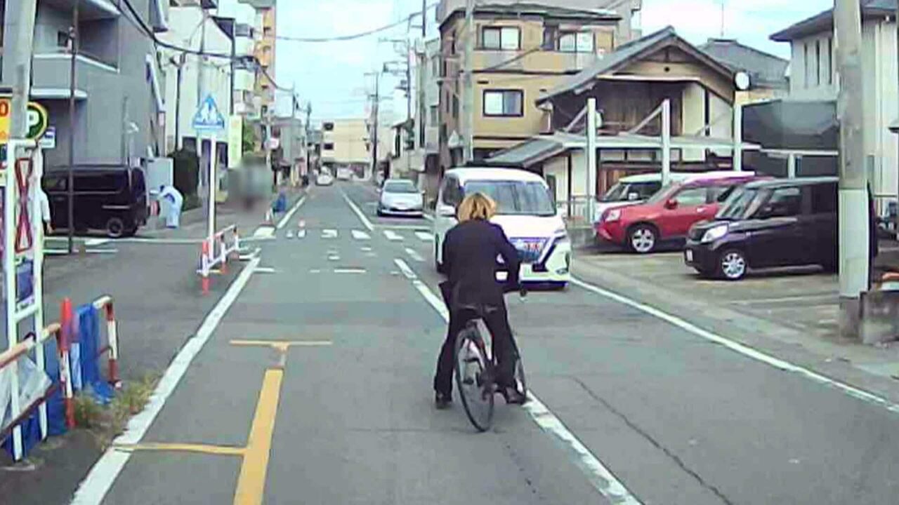 自転車で対向車線を走り車の通行を妨害の疑い　36歳の男を逮捕　千葉・柏市周辺で目撃が相次ぐ“ひょっこり男”か