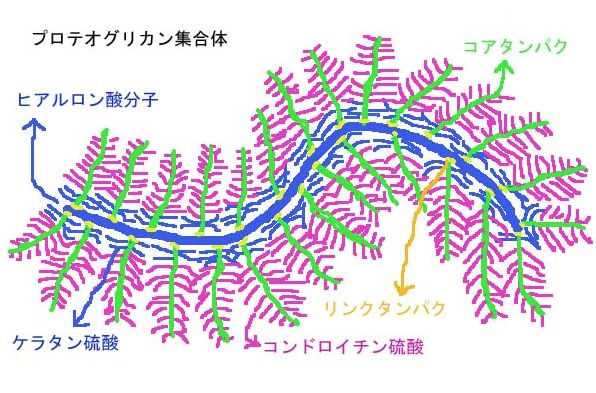 ヘルスケア体改善記