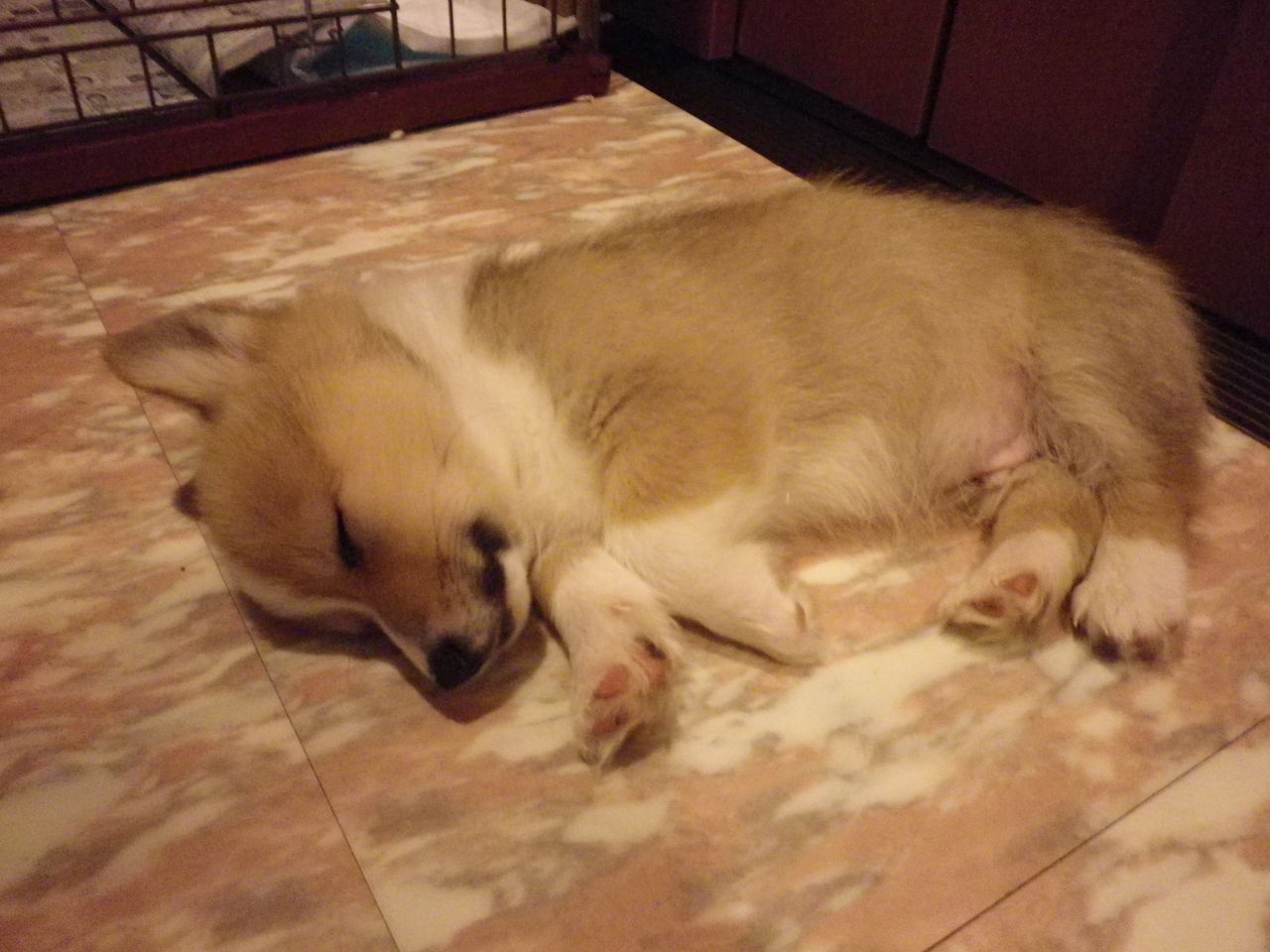 急募 昼夜逆転の治し方に自身ニキ 健康ホライゾン