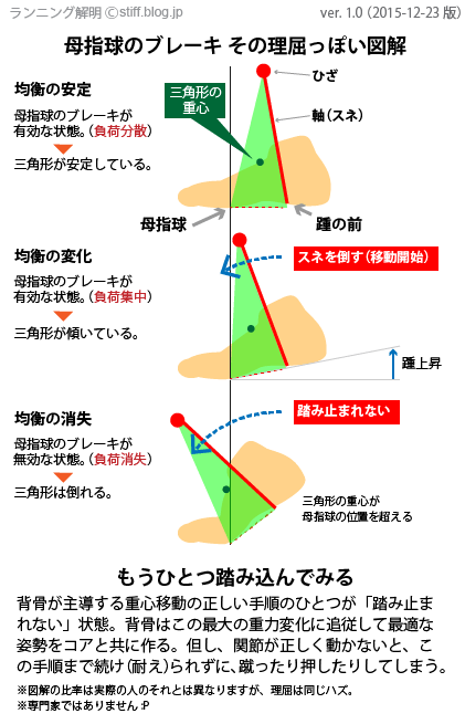 母指球のブレーキ図解