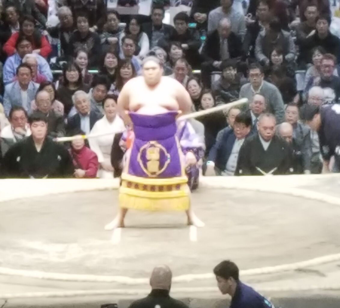 あっぱれ将豊竜 ヘルシーアップルブログ あっぱれ将豊竜 ヘルシーアップルブログ