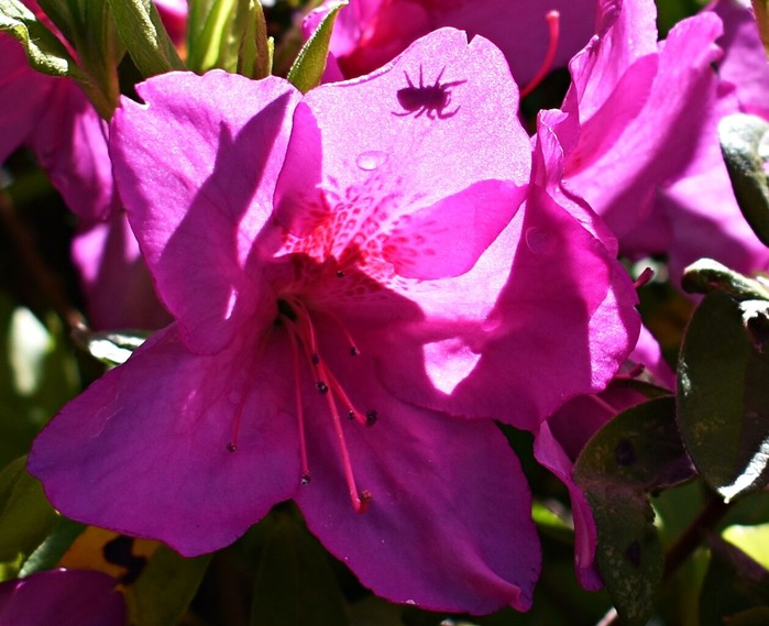 DSC_0016_vnVFlT