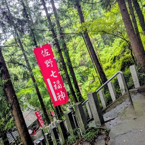PXL_20250810_044628403~2