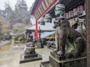 PXL_20240121_043424580~2