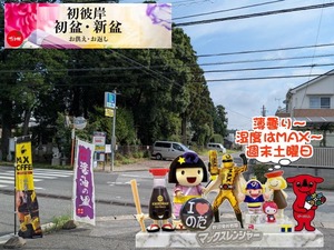 野田市|薄曇りなのに湿度MAXの週末土曜日