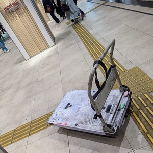 PXL_20231018_083152380