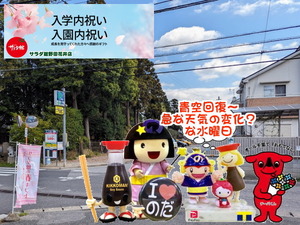 PXL_20231026_235923956