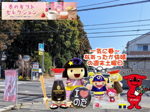 PXL_20231026_235923956