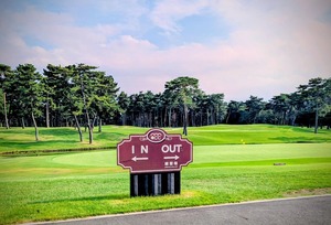 PXL_20251003_203954237-EDIT