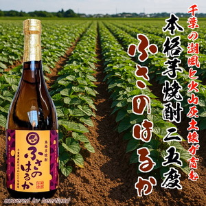 Copilot_20250923_173642d