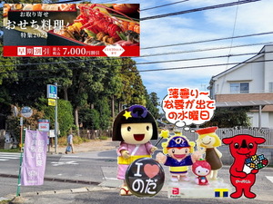 PXL_20230920_000515179