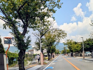 PXL_20250825_021951696~2