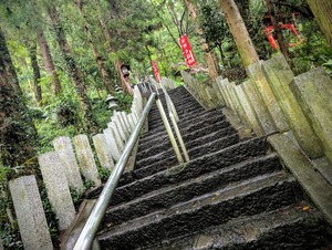 PXL_20250810_043047895~2