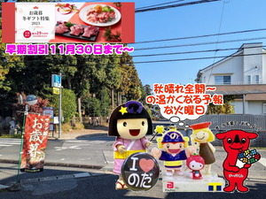 PXL_20231026_235923956