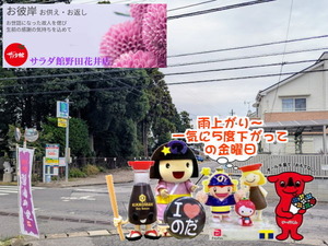 chibaken-cashless_banner_a_320x50