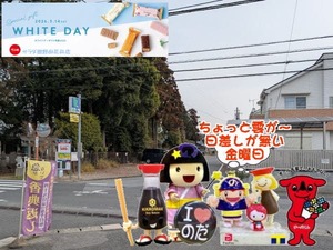 野田市パワースポット｜日差しが無い寒い一日