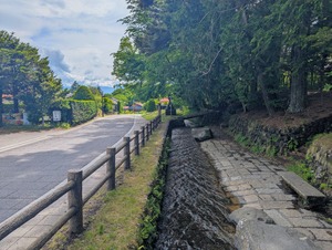 PXL_20250525_045750785~2