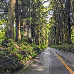 PXL_20250914_013631160