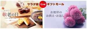 サラダ館｜秋のギフトモール
