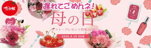 母の日ギフト2026 遅れてごめんね