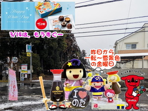 PXL_20231026_235923956