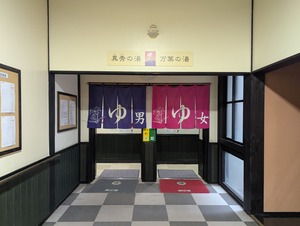 PXL_20250316_071013008