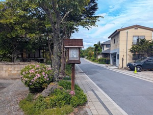 PXL_20250525_050539077~2