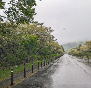 PXL_20240602_025302977