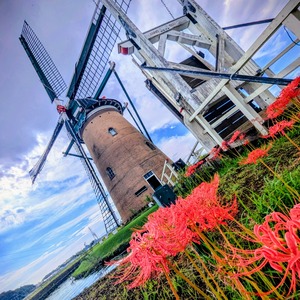 PXL_20251005_044719499~3