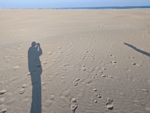 折角なので大洗の海に触りに行ってみましょう