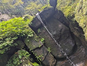 PXL_20250914_040918750