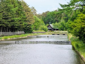 PXL_20250525_053231680~2