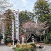 桜木神社の花風景