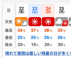 PXL_20250811_000449857.PORTRAIT