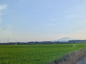 PXL_20250610_231107010-EDIT