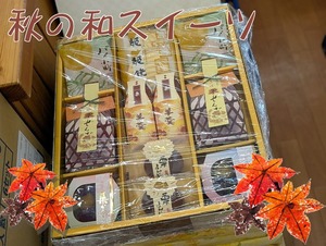 PXL_20251004_100947837~2