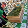 恒例!島田のお茶詰め放題