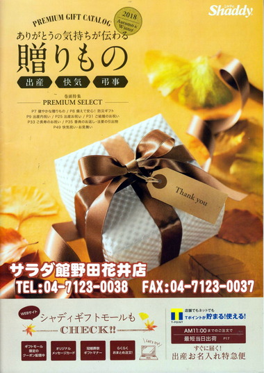 サラダ館の秋の贈り物カタログ