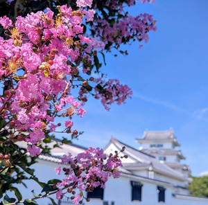 PXL_20250803_011229353~2