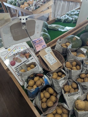 PXL_20251005_045951457