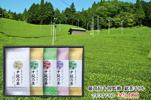 PXL_20231029_015025272