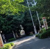 木陰が恋しい桜木神社