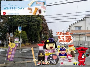 3月4日の朝のお天気は雨の野田市