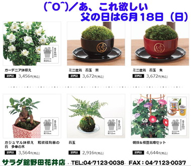 父の日ギフトIMG_1185